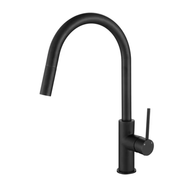 AquaFlow Pull-out Kitchen/Laundry Mixer - Image 3